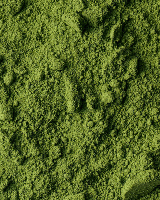 Close-up of finely ground green matcha powder with a slightly uneven texture. The image shows the powder’s natural, vibrant green color.